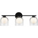 Derbishone Wall Sconce Wall Light in Black and Clear