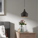 Allison 1 Light 10 inch Black Mini Pendant Ceiling Light