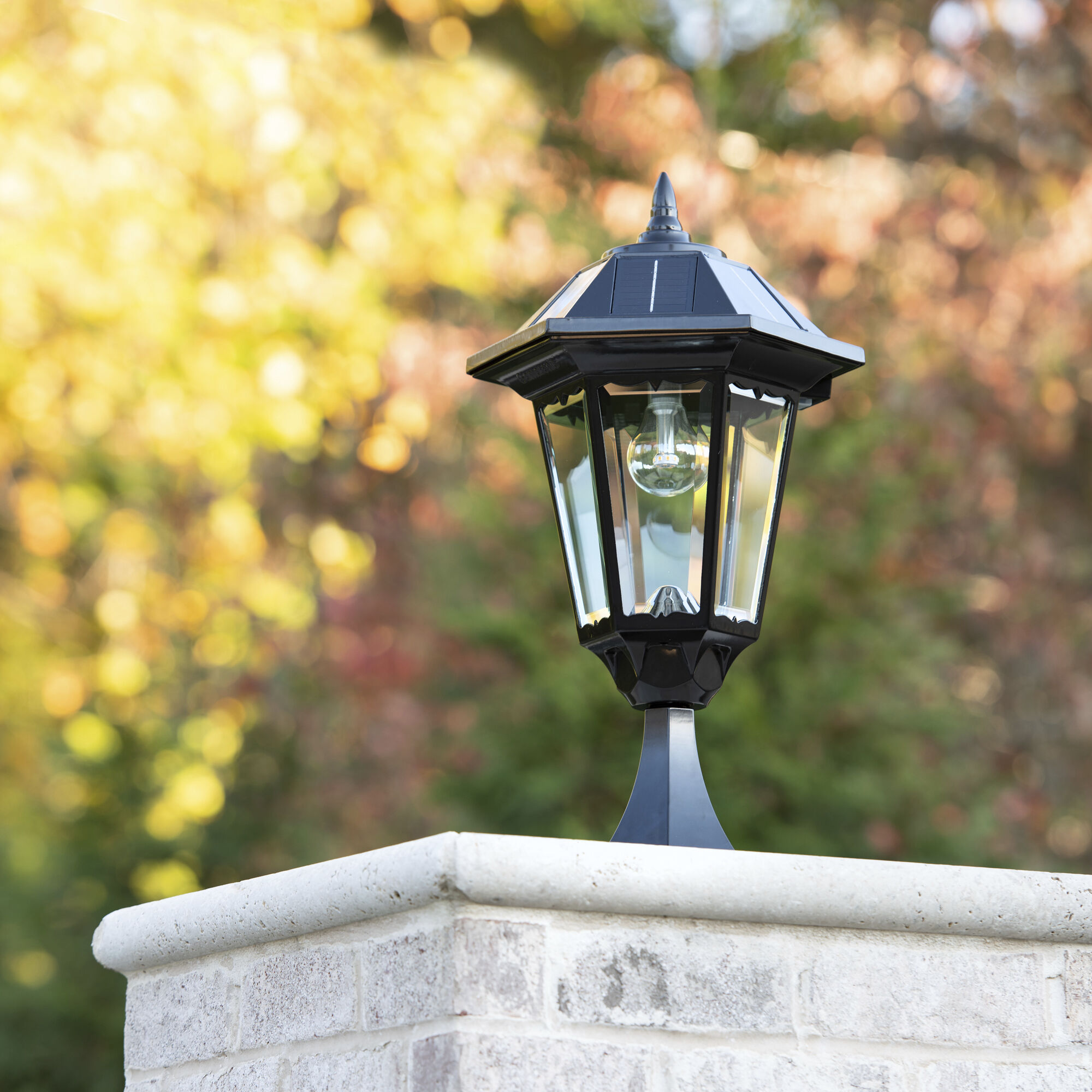 Polaris LED 12 inch Black Outdoor Wall Sconce, Solar