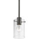 Munich 1 Light 5 inch Black Chrome Single Pendant Ceiling Light, Single