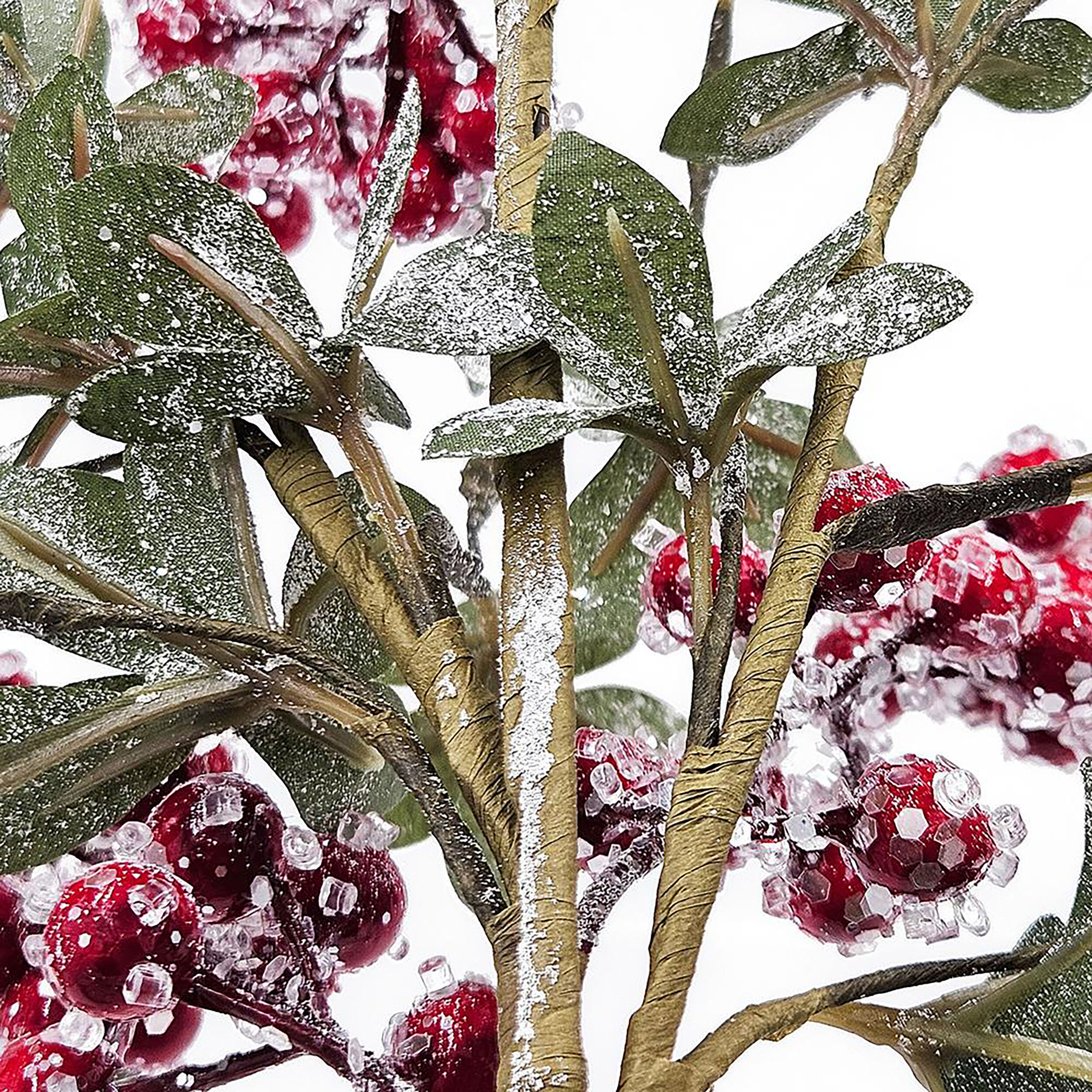 Anita Green and Red Faux Spray