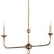 Nottaway 2 Light 40 inch Pyrite Bronze Linear Chandelier Ceiling Light