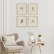 Florals Collection Brown Framed Art
