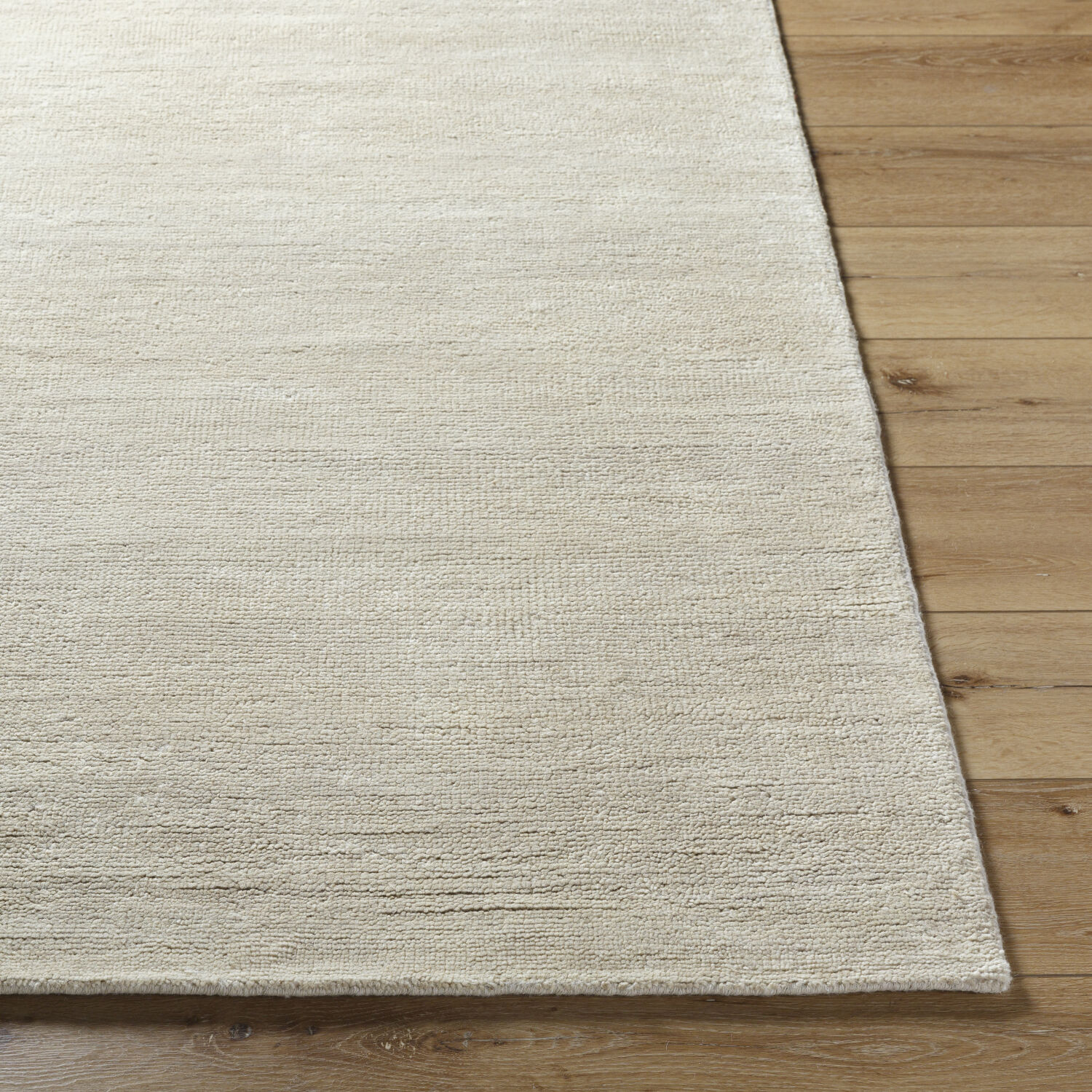 Astana 36 X 24 inch Warm Grey / Ash Handmade Rug in 2 x 3