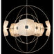 Astra 10 Light 49.5 inch Sterling Pendant Ceiling Light, Large