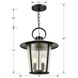 Andover 4 Light 14 inch Matte Black Outdoor Pendant in Seeded