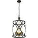 Malcalester 3 Light 14 inch Matte Black and Olde Brass Pendant Ceiling Light