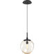 Aster Incandescent 1 Light 10 inch Matte Black Pendant Ceiling Light in Amber Aster