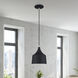 Bolita 8 inch Black with Brushed Nickel Accents Pendant Ceiling Light
