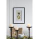 Smithsonian Black and Green/Yellow Wall Art, Assorted Fruit