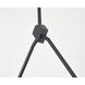 Canada LED 15 inch Black Chandelier Ceiling Light