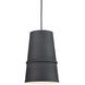 Castor Pendant Ceiling Light in Black