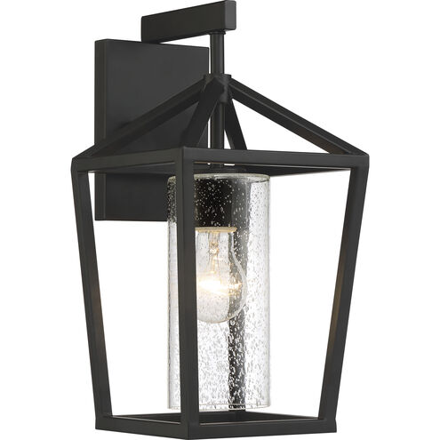 Hopewell 1 Light 15 inch Matte Black Outdoor Wall Lantern, Medium