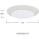 Elijah LED 10 inch Simple White Flush Mount Ceiling Light