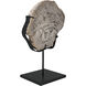 Wood Fossil Matte Black Statue