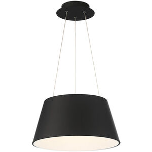Vida LED 24 inch Black Pendant Ceiling Light, dweLED