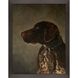 Animals Collection Block Profile In Dark Wood Framed Art