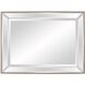 Roberto 48 X 36 inch Mirrored Wall Mirror