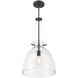 Foster 1 Light 14 inch Matte Black Pendant Ceiling Light