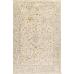 Quinella 72 X 48 inch Light Gray Rug, Rectangle