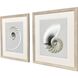 Neutral Nautilus Gray and Beige and Multi and Neutral Framed Art, Propac