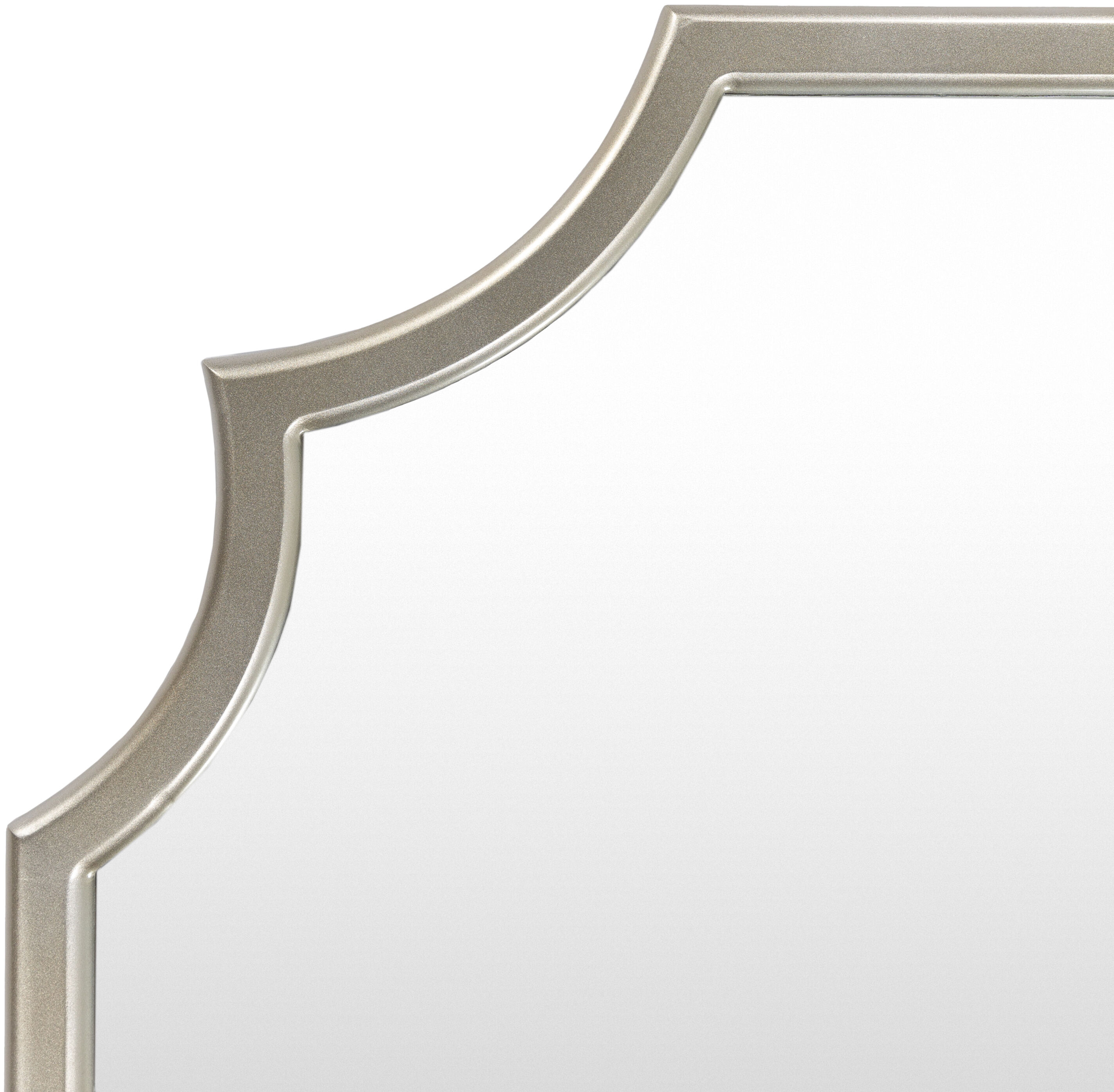 Imanol 50 X 30 inch Silver Mirror, Large