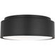 Drew & Jonathan Dartmore 2 Light 15 inch Midnight Black Flush Mount Ceiling Light, Medium
