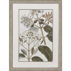Flowering Botanical Green and Beige and Blue and Brown Framed Art