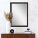 843 Mirror Group 41 X 29 inch Brown and Metallic Wall Mirror