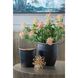 Anita 9.8 X 7.9 inch Flower Vase