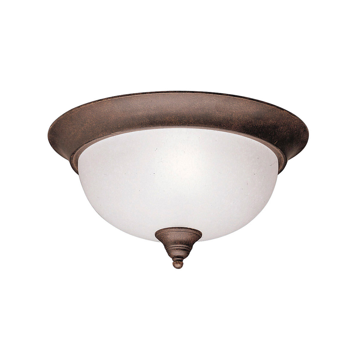 Project source ceiling light 2025