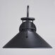 Canton LED 11 inch Matte Black and White Outdoor Wall