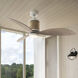 Marin 60 inch Matte White with Weathered Wood Blades Fan