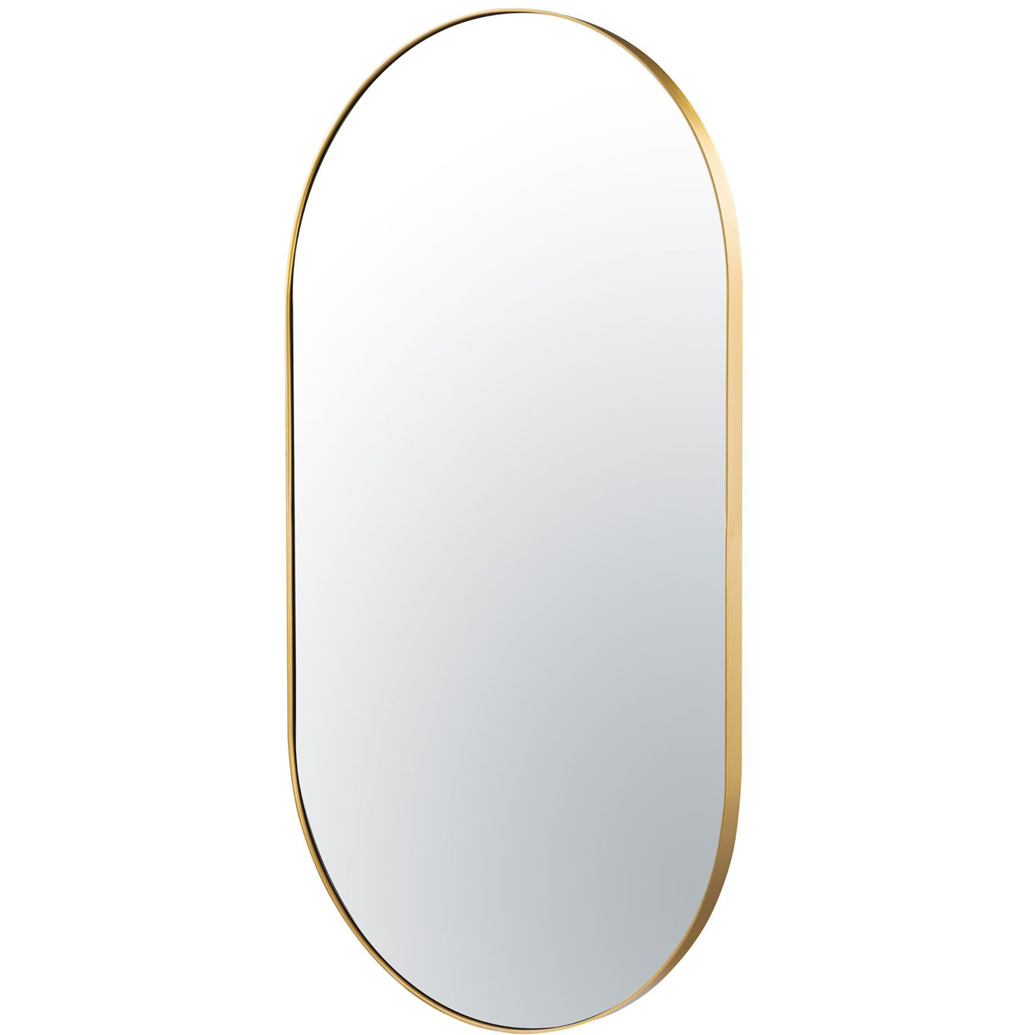 Capsule 40 X 22 inch Gold Wall Mirror