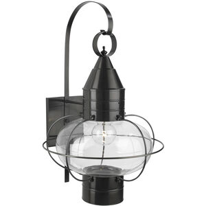 Classic Onion 1 Light 24 inch Black Outdoor Wall in Clear, Large