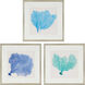 Sea Fan Blue and Turquoise and Green and Beige Framed Art