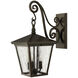 Heritage Trellis Outdoor Wall Mount Lantern in Regency Bronze, Non-LED, Medium
