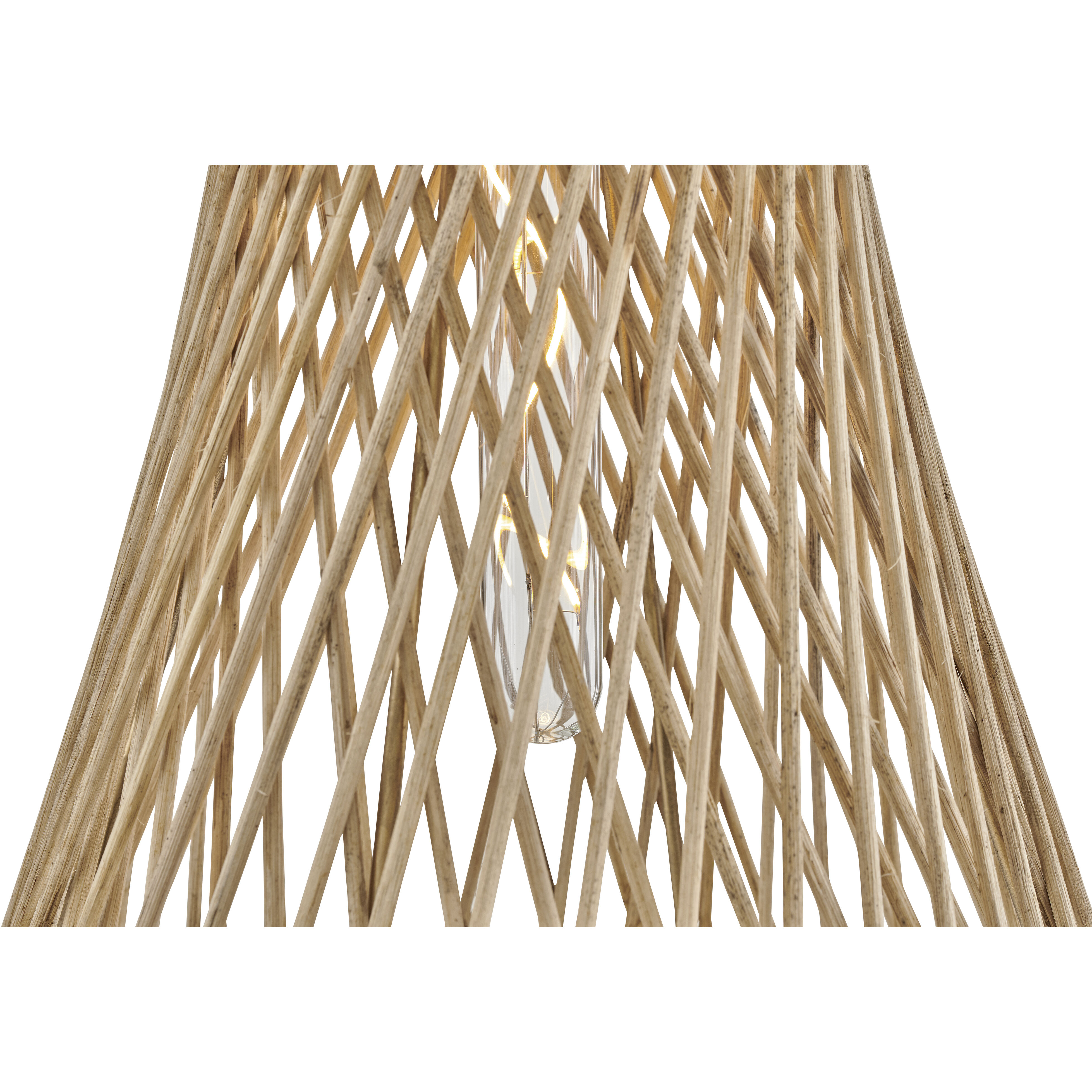 Twyla 12 inch Burnished Gold Indoor Pendant Ceiling Light