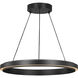 Aro LED 24 inch Midnight Black Chandelier Ceiling Light