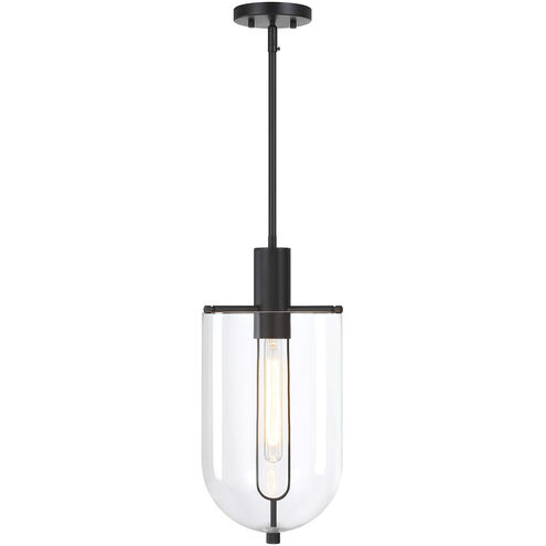 Skylar LED 10 inch Matte Black Down Pendant Ceiling Light