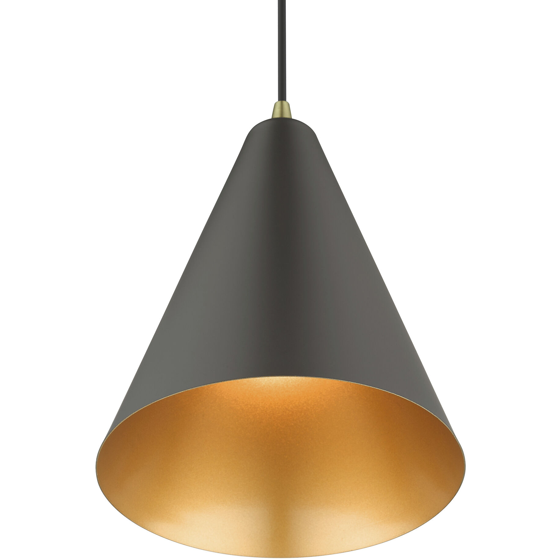 Dulce 1 Light 10 inch Bronze with Antique Brass Accents Pendant Ceiling Light in Bronze & Brushed Nickel