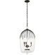 Voliere 3 Light 14.5 inch Matte Black Pendant Ceiling Light