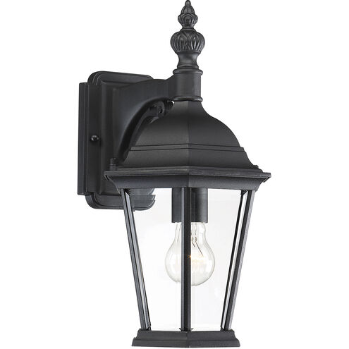 Transitional 1 Light 15.5 inch Black Outdoor Wall Lantern