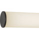 Rico 2.5 inch Black ADA Wall Sconce Wall Light