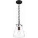Voss 1 Light 8.25 inch Matte Black Mini Pendant Ceiling Light