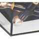 Sydney 4 Light 14.5 inch Black Outdoor Flush Mount