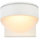 Raine 5.00 inch Outdoor Wall Light