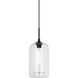Irresistible Organic Charm 1 Light 7.13 inch Pendant