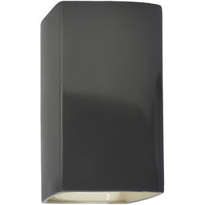Ambiance 1 Light 9.5 inch Gloss Grey Outdoor Wall Sconce