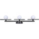 Payton 3 Light 28.5 inch Black Vanity Light Wall Light